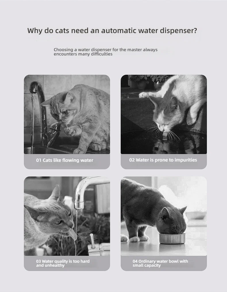 Smart Water Fountain for Cats