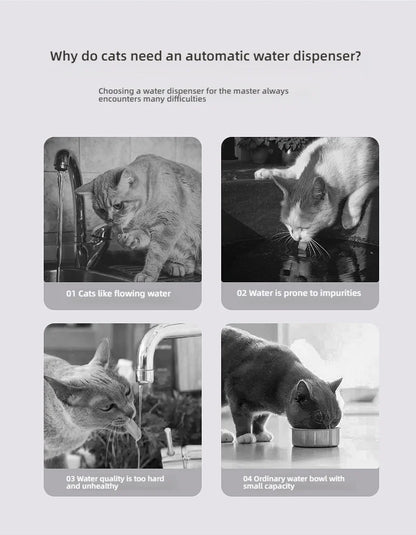 Smart Water Fountain for Cats