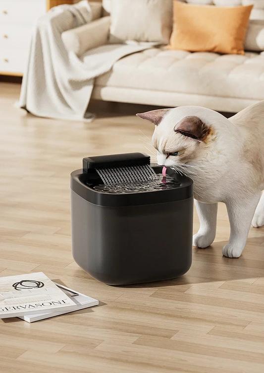 Smart Water Fountain for Cats